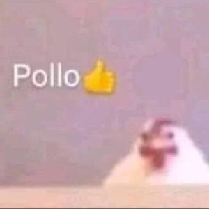 Meet your Posher, Karla